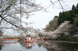 茂原公園 
