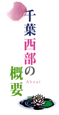 千葉西部の概要